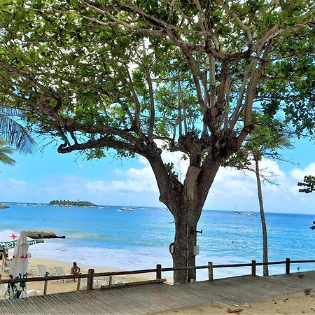 Ilet Bleu Studio Cosy Rdc Vue Mer Et Jardin - Acces Direct Plage Le Gosier  Εξωτερικό φωτογραφία