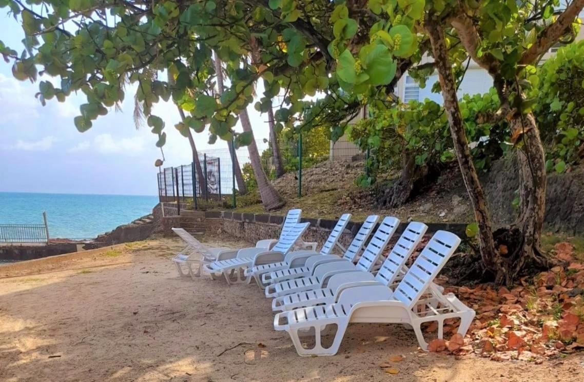 Ilet Bleu Studio Cosy Rdc Vue Mer Et Jardin - Acces Direct Plage Le Gosier  Εξωτερικό φωτογραφία