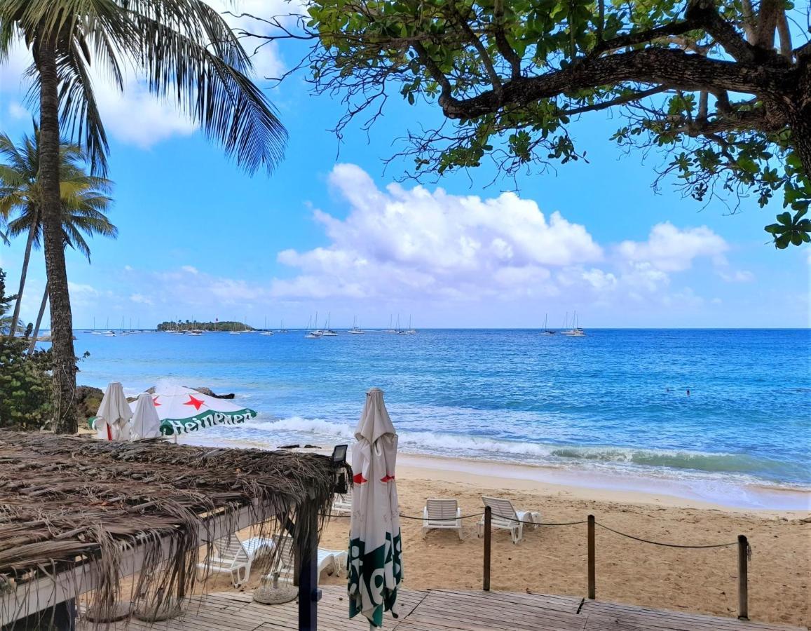 Ilet Bleu Studio Cosy Rdc Vue Mer Et Jardin - Acces Direct Plage Le Gosier  Εξωτερικό φωτογραφία